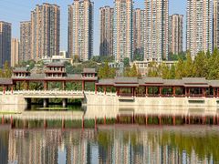 -重庆彩云湖湿地公园