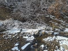 -少华山国家森林公园