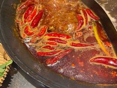 -朱光玉火锅馆(正弘城店)