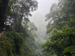 -青城山