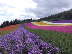 -富田农场
