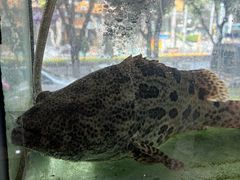 -青竹园海鲜餐厅(海天路店)