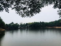 -南京市无想山景区