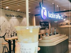 -瑞幸咖啡(大都会东方广场店)