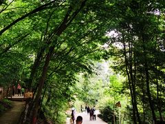 -老君山