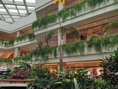 -广州白天鹅宾馆