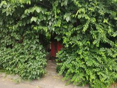 -斯多格书乡(北京大学畅春园店)