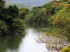 -梧桐山风景名胜区