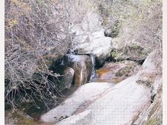-王顺山国家森林公园