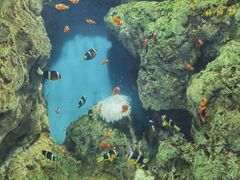 -福州罗源湾海洋世界旅游区