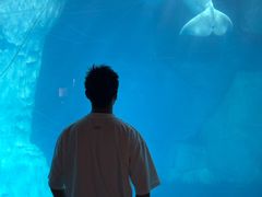 -海合安武汉极地海洋公园