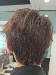 -YESIDO椰岛造型