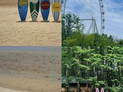 -日照灯塔风景区