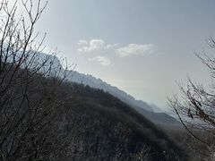 -秦岭风景区