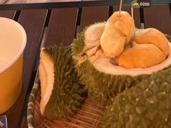 -榴莲BB 四季果园
