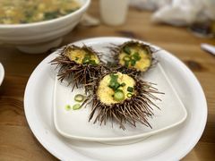 -海胆小馆(东北水饺·春柳店)