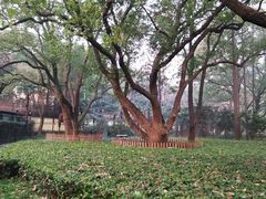 -徐家汇源景区-衡山公园