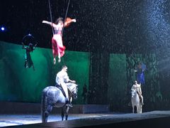 -cavalia·舞马