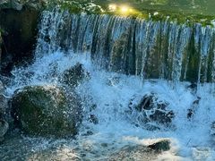 -广州白江湖森林公园