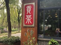 -昆山城市生态森林公园