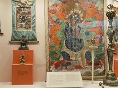 -美国自然历史博物馆