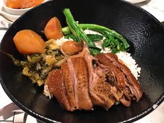 卤水鹅肉饭配潮州酸菜-MR鹅外