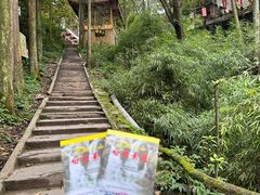 -青城山