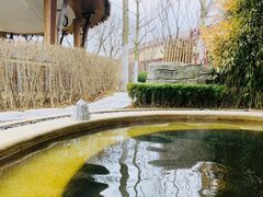 -大连金石滩绿发温泉假日酒店