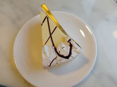 -有猫主题·治愈系猫咖(曾厝垵店)