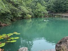 -茶人谷-东海大峡谷