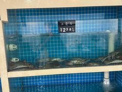 -威海渔村(静安旗舰店)