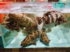 -阿伟海鲜楼·福建菜(延寿店)