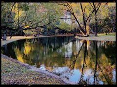 -上海共青森林公园