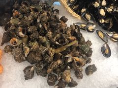 -廊坊固安福朋喜来登酒店