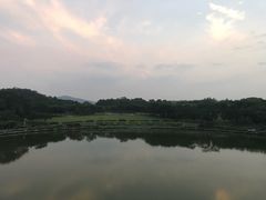 -东莞植物园