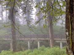 -瓦屋山景区