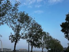 -后海彼岸花园餐厅