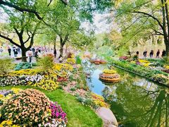 -上海共青森林公园