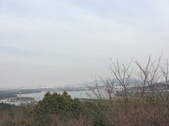 -香雪海