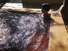 -春晖园度假酒店温泉