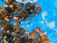 -尚优超市面点区(白丽生活广场店)