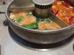 -巴奴毛肚火锅(二七万达店)