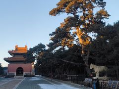 -北陵公园