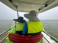 -日照海滨国家森林公园