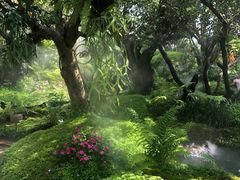 -Chom Cafe and Restaurant