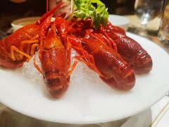 -觀芷隐轩
