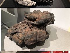 -中国地质博物馆