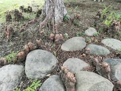 -长广溪湿地公园