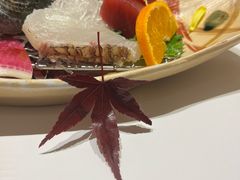 -南紀白浜 浜千鳥の湯 海舟