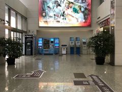 -上海市普陀区中心医院